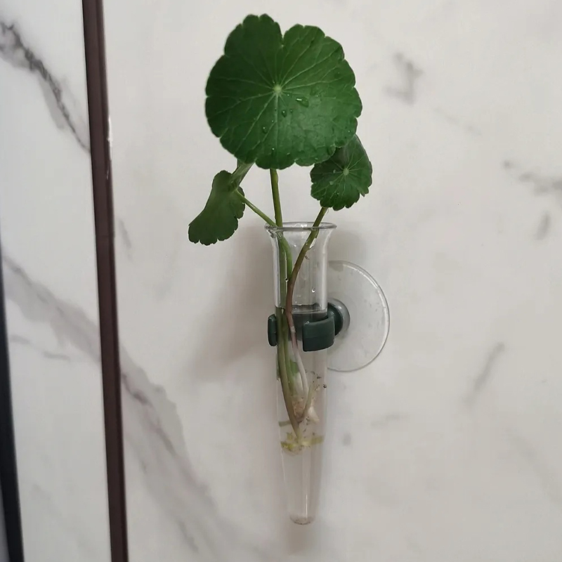 11cmの花用ウォーターチューブ、プラスチック製栄養容器、吸 - Nutrition & Fitness Hub Photos のレビューと価格