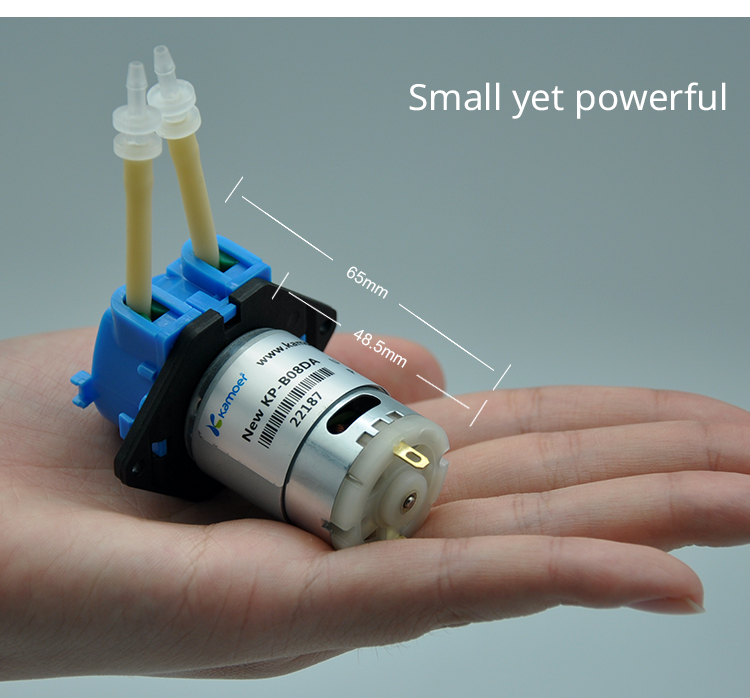 2026年新型NKP 6V 12V 24V DCモーター カ - Nutrition & Fitness Hub Photos のレビューと価格