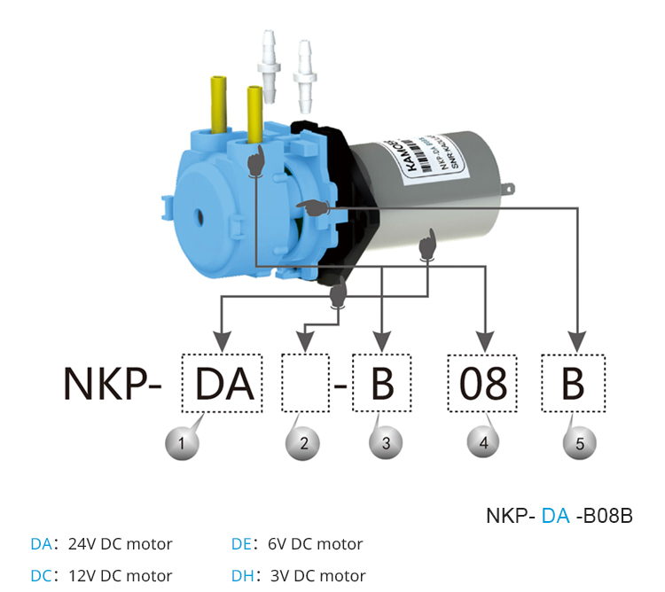 2026年新型NKP 6V 12V 24V DCモーター カ - Nutrition & Fitness Hub Photos のレビューと価格