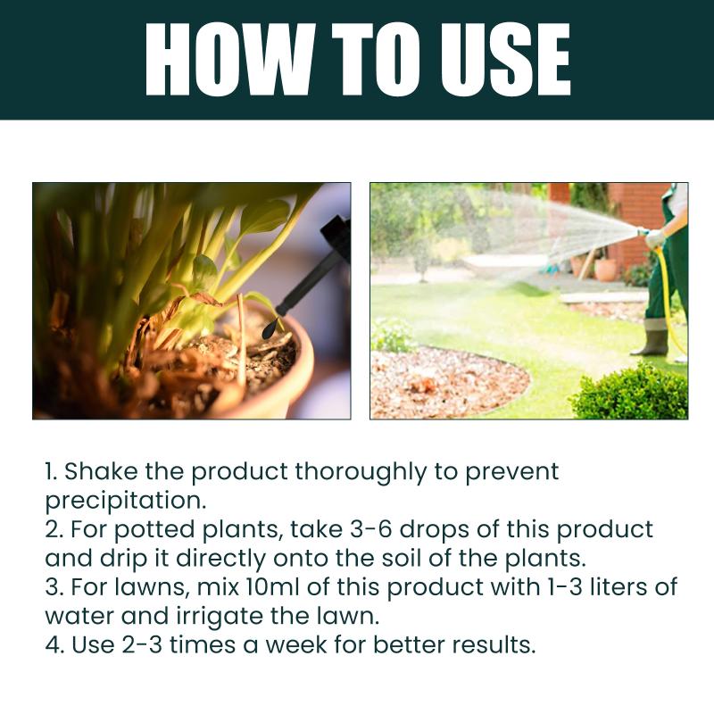 グリーンリーフ植物濃縮栄養液 家庭用 花鉢用液体肥料 根肥  - Nutrition & Fitness Hub Photos のレビューと価格